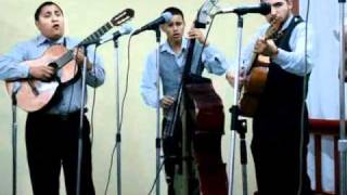 Video thumbnail of "Rondalla Levi   Que Diera Yo    (Abril.2010)"