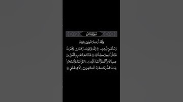 اكتب شيء تؤجر عليه #quran #القرآن_الكريم #مشاري_العفاسي #سورة_غافر