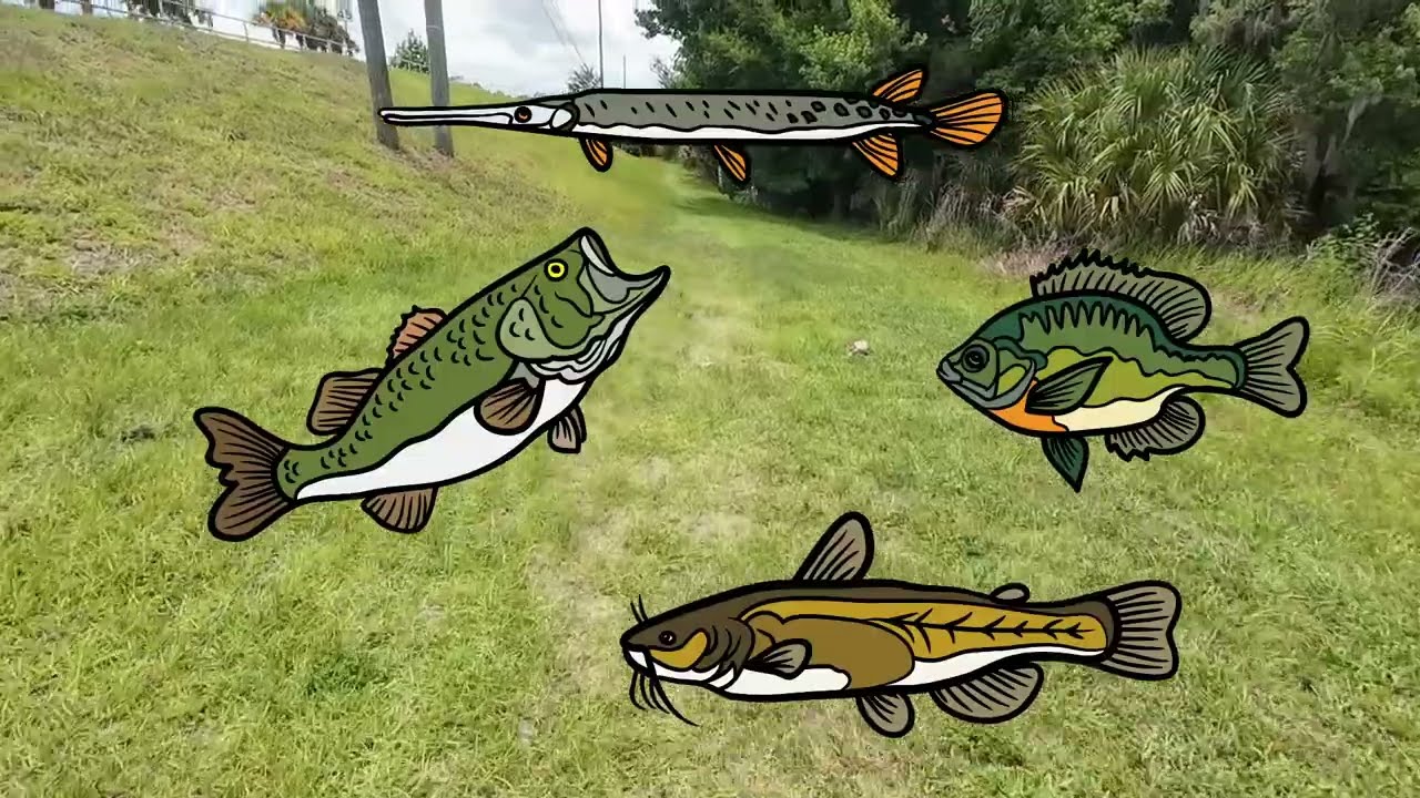 Fishing the Little Big Econ River 2026