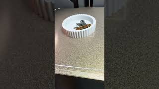 3D Jewlery Holder for the Nightstand 💙♥️