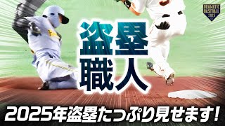 【盗塁職人】2025年盗塁たっぷり見せます in 東京ドーム【地方球場もあるよ】