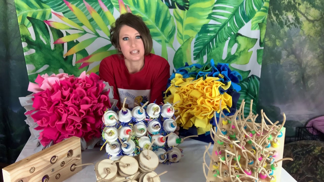 Activity Wall Bird & Parrot Toys