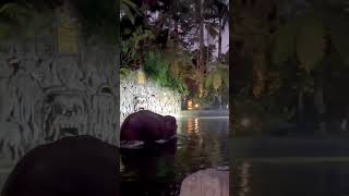 Caught An Elephant Bathing