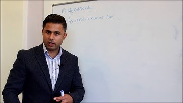 Part II - Cardiovascular Responses to Aerobic Exercise (Skeletal Muscle and Respiratory Pump)