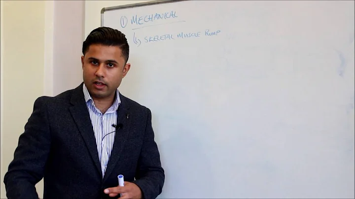 Part II - Cardiovascular Responses to Aerobic Exercise (Skeletal Muscle and Respiratory Pump)