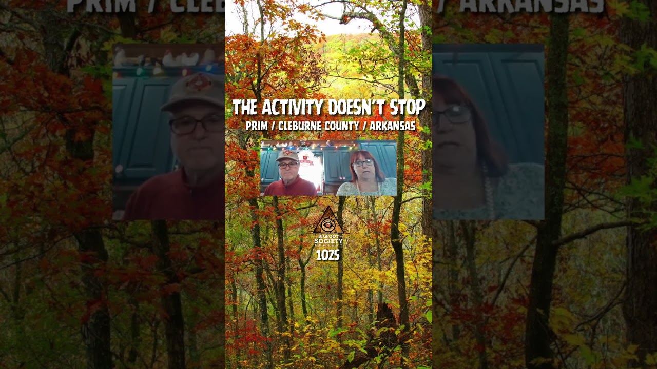 Prim, Arkansas. Footprints in the snow. Screams in the holler. Something tall walking the fence