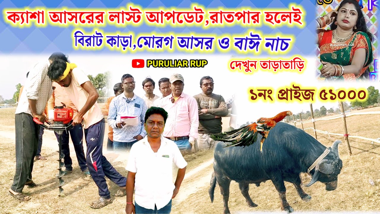 ক্যাশা আসরের লাস্ট আপডেট,রাতপার হলেই বিরাট কাড়া,মোরগ আসর ও বাঈ নাচ দেখুন তাড়াতাড়ি।