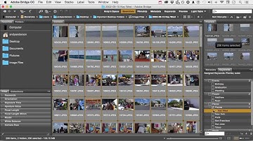 Photoshop CC 2015 Tutorial : Organization with Bridge (Keywords And Filters)