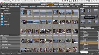 Photoshop CC 2015 Tutorial : Organization with Bridge (Keywords And Filters)
