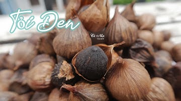 Chia sẻ Bí Quyết làm TỎI ĐEN ăn tăng cường sức đề kháng cho cơ thể | Cả Nhà Vào Bếp