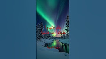سورة التوبة بصوت الشيخ محمد جبريل