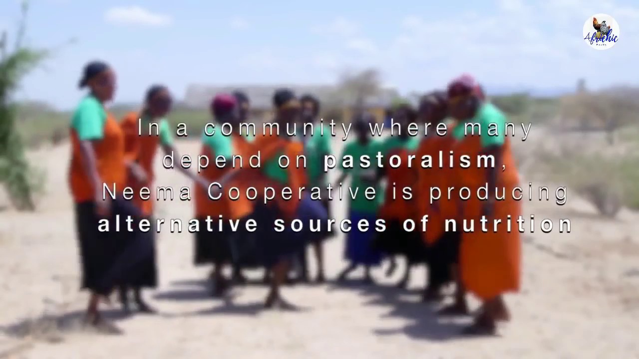 WE STARTED WITH A MUD HOUSE NOW WE ARE THE LARGEST FARM IN TURKANA