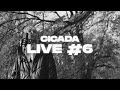 Nasteisha x insomnia  i  cicada live 6