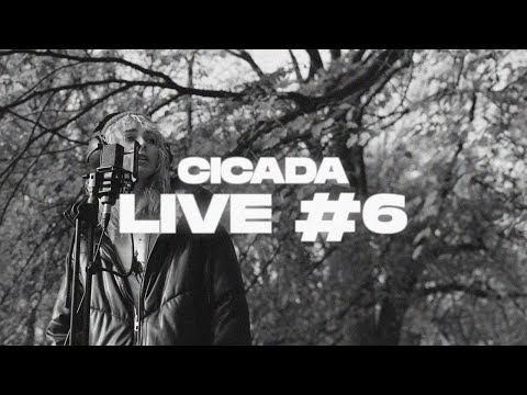 NASTEISHA x INSOMNIA