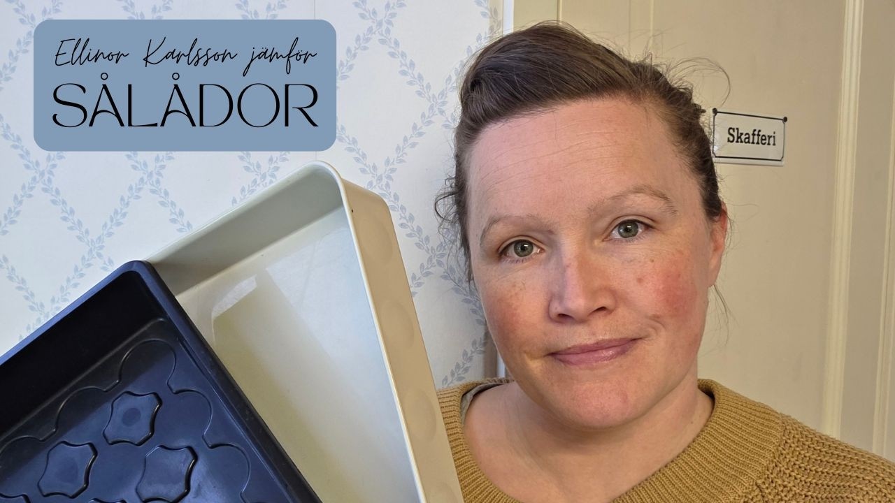 Vilken sålåda är bäst för förkultivering?