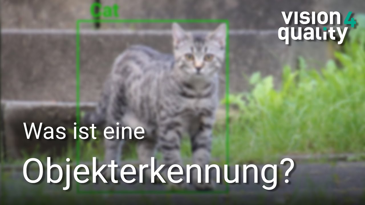 KI: Objekterkennung - Where's The Cat?