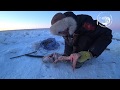 перемет + Налим = Макса! Якутия! река Лена Yakutia Lena river