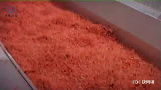 JET Fluidization IQF Freezer