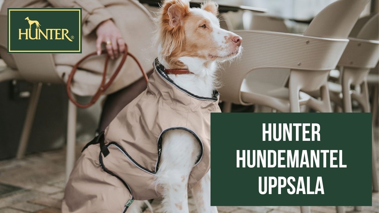 Perfekt geschtzt bei jedem Wetter  Hunter Hundemantel UPPSALA | 2in1  Hundemantel