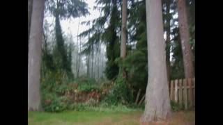 Real Estate for Sale 3780 Westland Ct SE #, Port Orchard, WA 98367