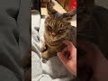 どいて