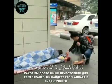 الرحمة بالآخرين عمل يجازيك الله عليه