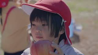 2025/11/17・18 りんご狩り