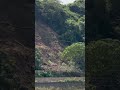 【台風25号】沿線で土砂が崩れ運休、復旧まで3カ月 台風25号被害の千葉 #災害 #台風  #千葉  #内房線  #運休