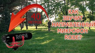 На что способен направленный Rode VideoMic GO. Какая дальность? Много тестов в разных условиях