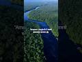"Amazon Jungle के 5 सबसे खतरनाक जानवर 😱