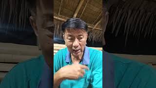 Famous PINOY SURVIVOR is live: Roll Call; Quorum; Withdrawal; Level Up; Bend the Constitution? Net Worth