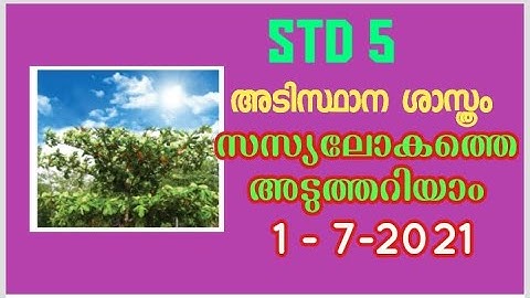 VICTERS CHANNEL STD 5 Basic science worksheet on 1/7/2021