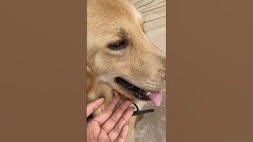 My first mini vlog ❤️#Shorts #youtubeshorts #yshorts #ytshortsindia #weekend #minivlog #sunday