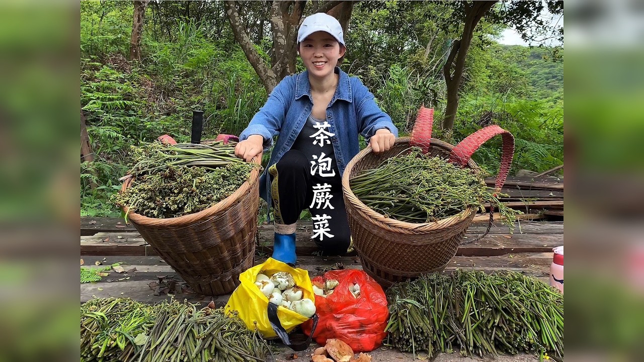 湘西大山里蕨菜泛滥了，茶泡，枞菌一锅端。阿貌直呼这次真正发财了