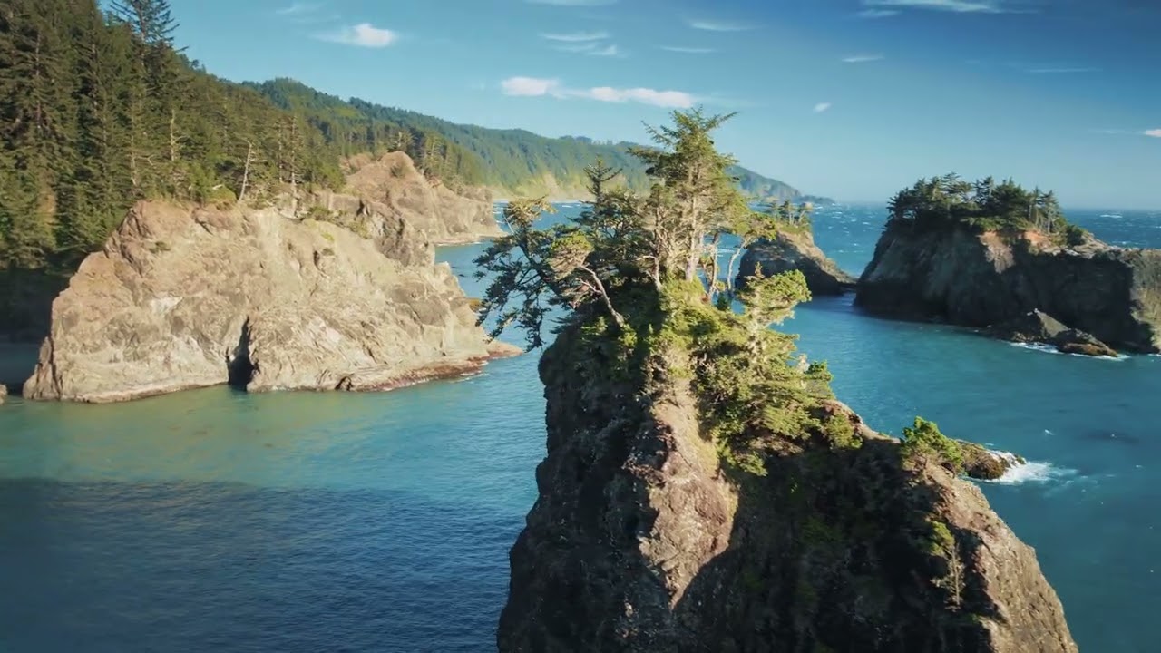 QCDD Reviewer-Part-2