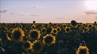 -sunflower- tumblr | 2 hours | -sunflower- tumblr | 2 hours |