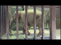 2026.04.19 17:00 ズゼ 閉園（※Tさん撮影）