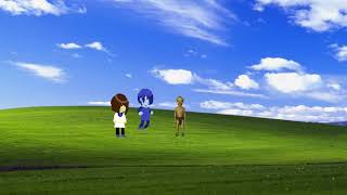 5th Brawling Fight on MsAgent Hill