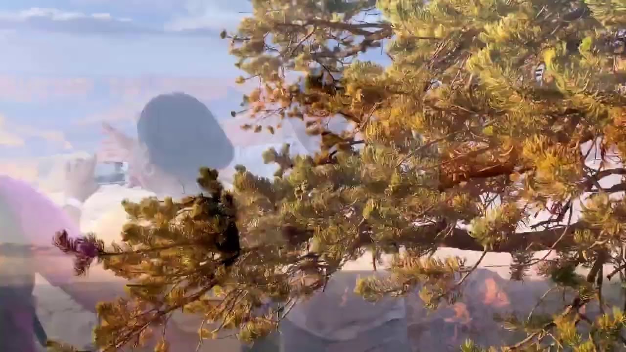 Buck Wild Sunset Hummer Tour