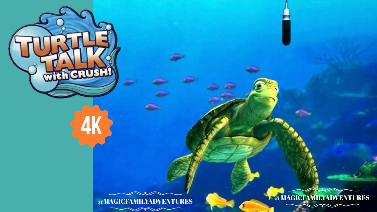 Shell Yeah, Dude! 🐢💬🌊 [4K] Turtle Talk with Crush - Full Show at Disney ...