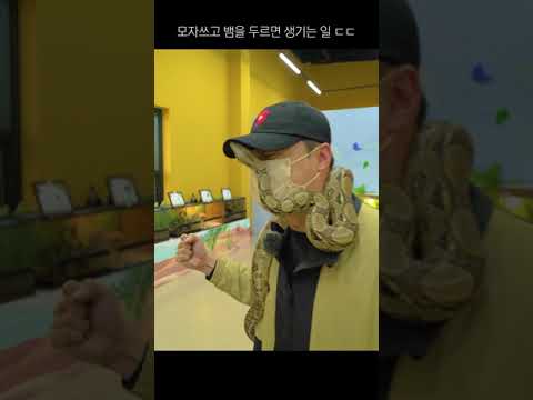 모자쓰고 뱀 두르면 안되는 이유 | The reason <strong>why</strong> you shouldn&amp;#39;<strong>t</strong> wear a hat and wear a snake
