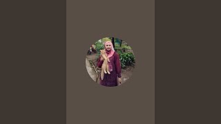 super chat, Gif terimakasih