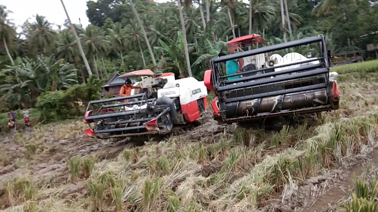 Kubota vs yanmar... YouTube