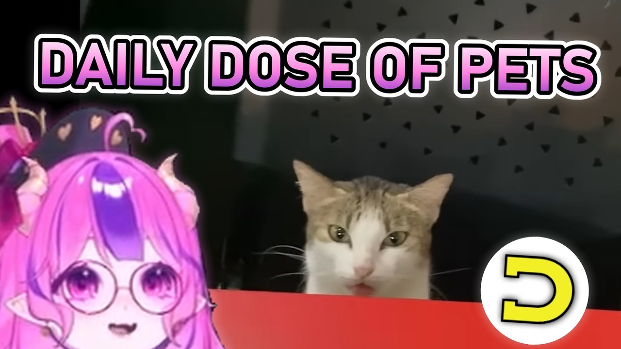 Ironmouse Reacts To Daily Dose Of Pets 