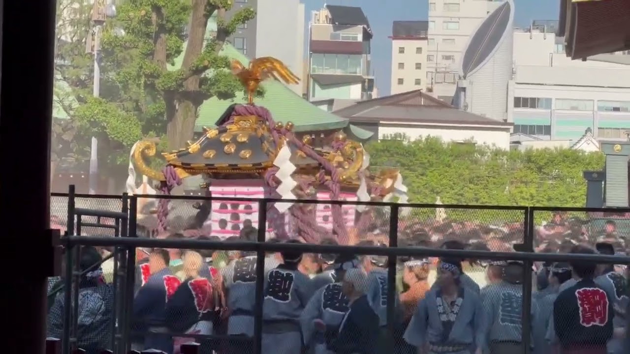 2026/5/17 浅草三社祭- YouTube