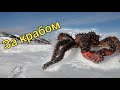 Поездка за крабом. Крабалка. Сахалинская рыбалка & Sakhalin fishing