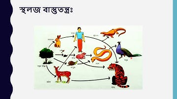 Class:8, Science, Chap:14, (Lec: 2), Shayla Parvin