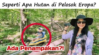 Indahnya Hutan di Pelosok Eropa || Szilvasvarad Hongaria