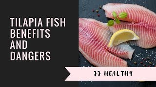 Tilapia Fish Benefits and Dangers Details
