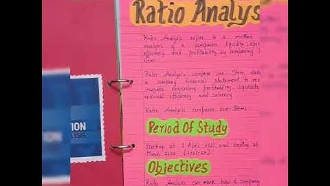 RATIO ANALYSIS     ( CASH FLOW STATEMENT) Session 2024-25        SEGMENT ANALYSIS